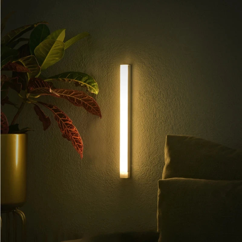 LED Motion Sensor Light